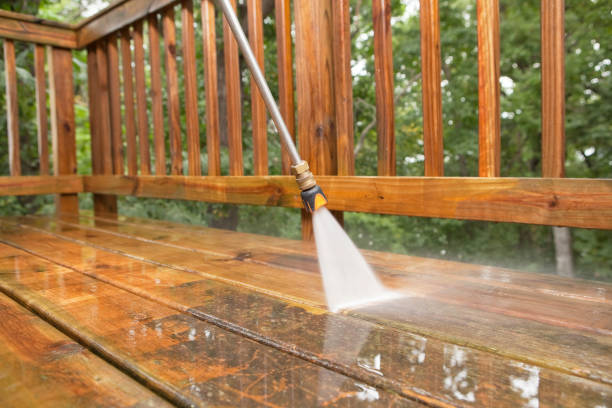 Best Solar Panel Cleaning  in Lam, AR